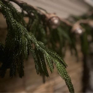 Kirklands Norfolk Pine Garland